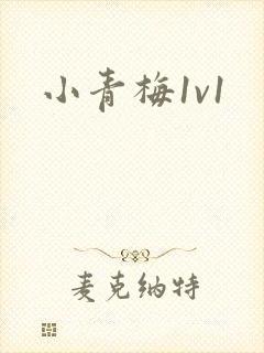 小青梅1v1