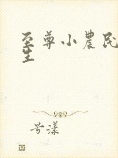 至尊小农民王木生封面