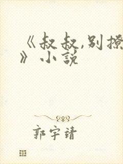 《叔叔,别撩我》小说封面