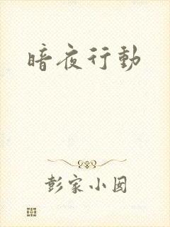 暗夜行动