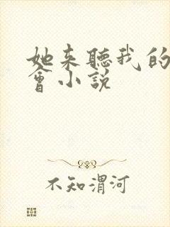 她来听我的演唱会小说