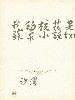 我的校花是福姬苏柔小说txt封面