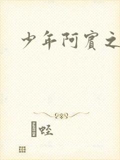 少年阿宾之封面