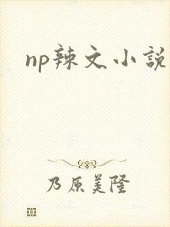 np辣文小说