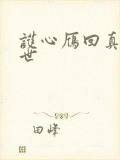 护心雁回真实身世封面