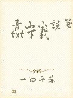 青山小说笔趣阁txt下载