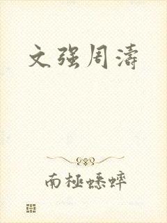 文强周涛封面