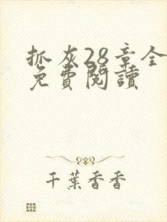 抓灰28章全部免费阅读