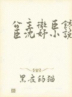 公主微臣馋了微臣沈妤小说封面