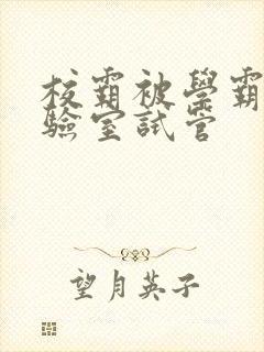 校霸被学霸压实验室试管