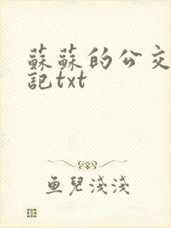 苏苏的公交车日记txt