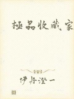 极品收藏家