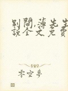 别闹,薄先生小说全文免费阅读封面