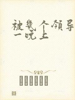 被几个领导玩弄一晚上