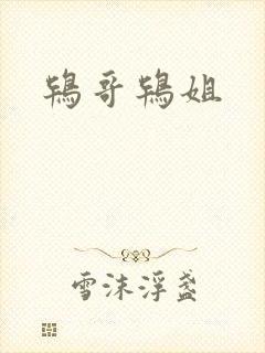 鸨哥鸨姐