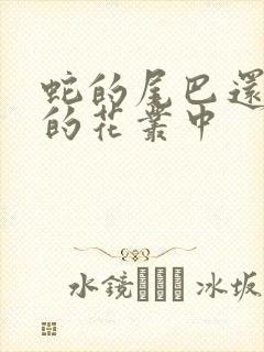 蛇的尾巴还在我的花丛中