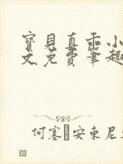 宝贝真乖小说全文免费笔趣阁