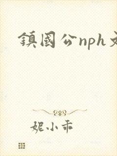 镇国公nph文