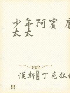 少年阿宾 房东太太封面