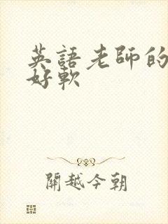 英语老师的兔子好软