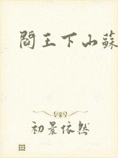 阎王下山苏文封面