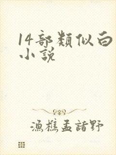 14部类似白洁小说