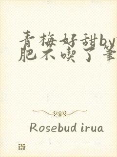 青梅好甜by减肥不吃了笔趣阁封面