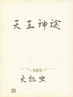 天王神途