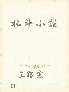 北斗小说