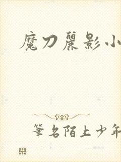 魔刀丽影小说