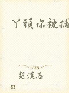 丫头你被捕了封面