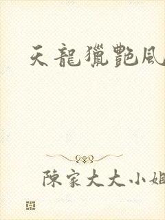 天龙猎艳风流