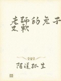 老师的兔子又大又软