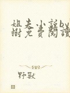 姐夫小说by野树免费阅读全文