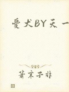 爱犬BY天一