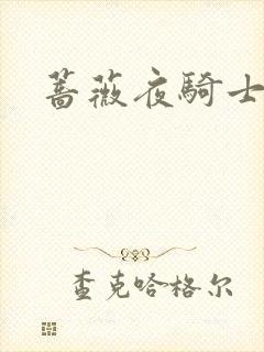 蔷薇夜骑士