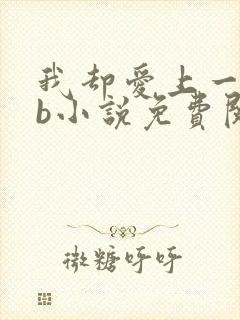 我却爱上一个sb小说免费阅读无弹窗封面