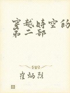 穿越时空的爱恋第二部封面