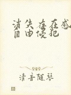 消失存在感消失自由侵犯封面