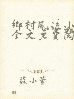 乡村风流小傻子全文免费阅读