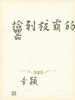 捡到校霸的遥控器