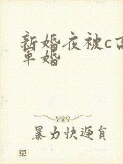 新婚夜被c高h军婚