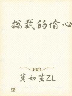 总裁的偷心娇妻