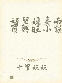 好儿媳秦雨罗明罗兴旺小说