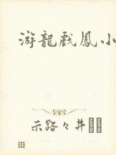 游龙戏凤小说封面