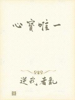 心宝唯一