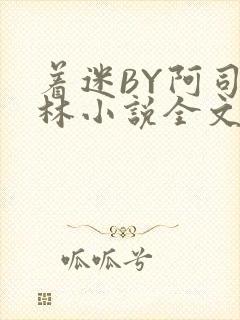 着迷BY阿司匹林小说全文免费阅读