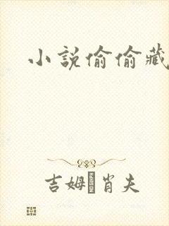 小说偷偷藏不住