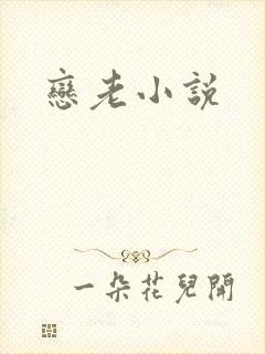 恋老小说