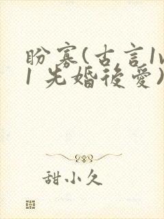 盼寡(古言1v1 先婚后爱)